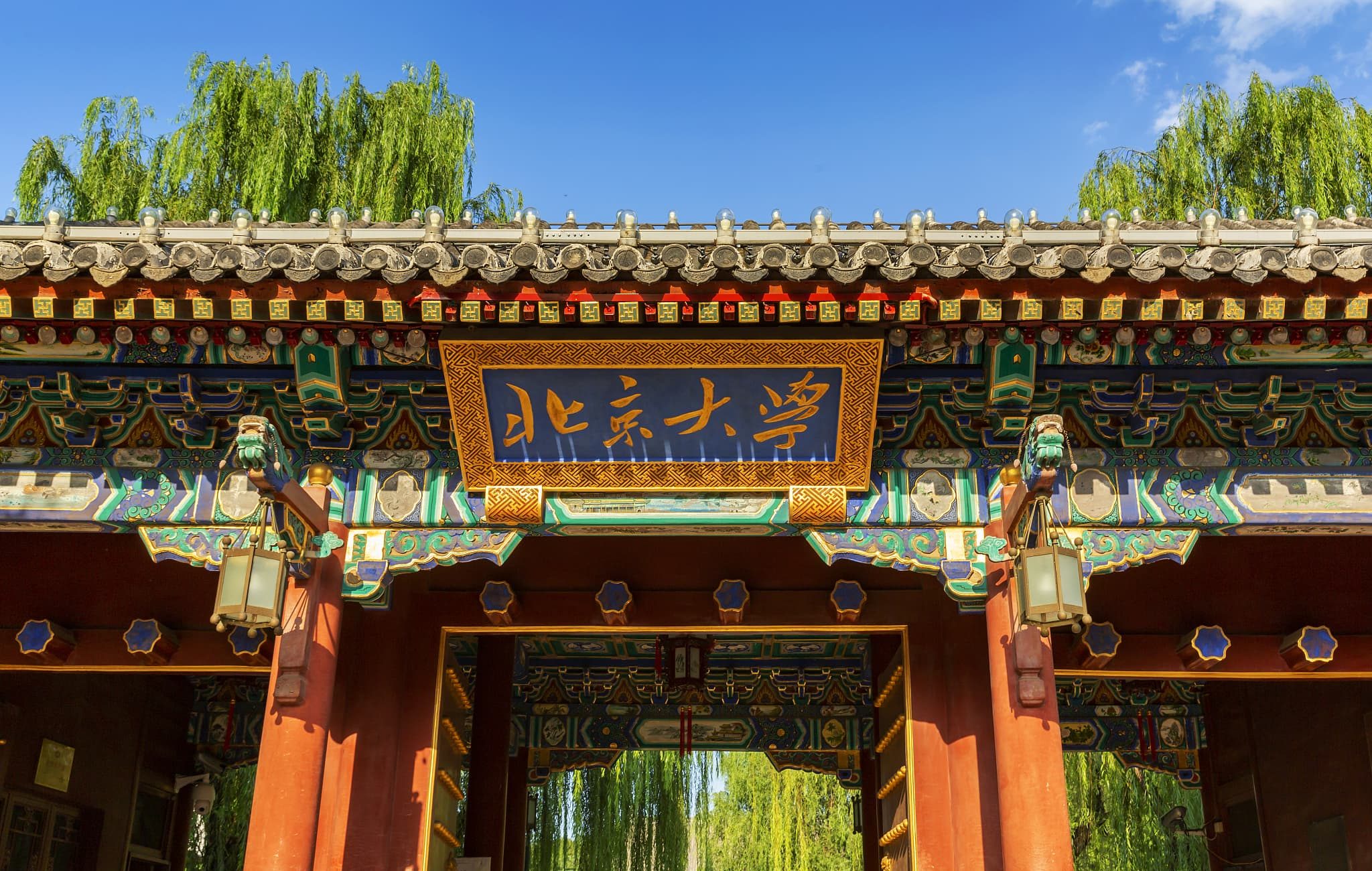 降分10+被北京大学强基计划录取